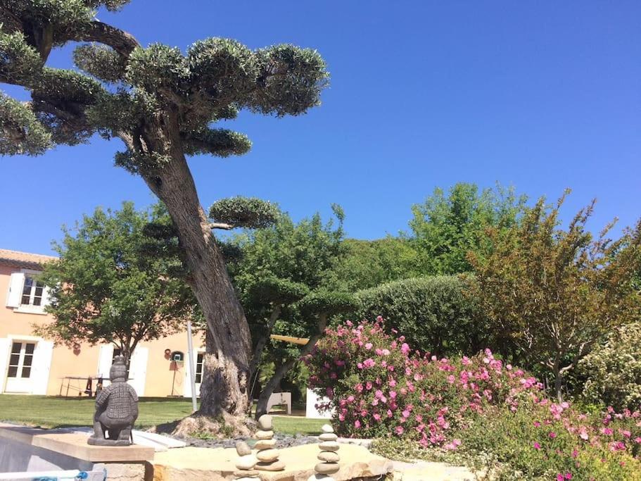 Bastide Languedocienne De Standing - Pezenas Le Clos De L'Amandier Eksteriør billede